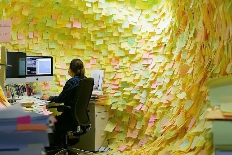 Architecture, anatomie d'une profession sous l'eau 1/8